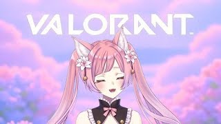 ブロンズコンペ　参加〇