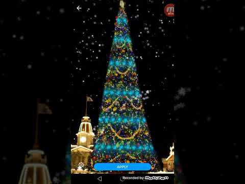 Christmas Tree Live Wallpaper Video