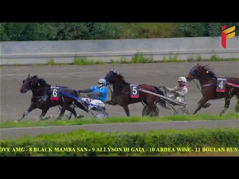 II Corsa del 2 Aprile 2022 - 5 Anni ed oltre - Metri 1600