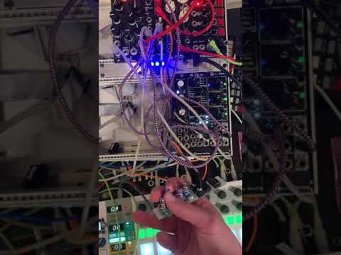 ELC Systems haXOR: Effects Processor
