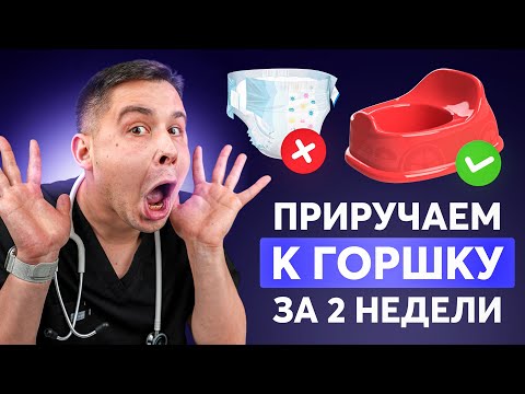 How to potty train a child in 2 weeks? The best method!