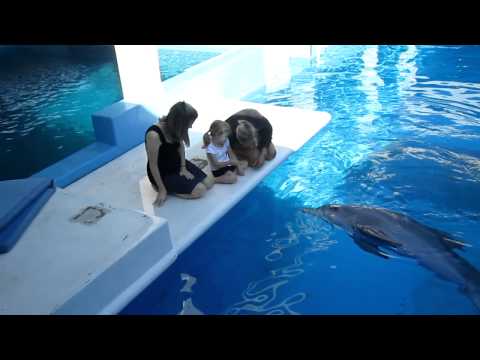 Dolphin Tale (Clip 'Kyle Meets Winter')