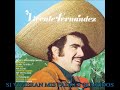 EL PRISIONERO - VICENTE FERNANDEZ (CON LETRA)