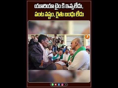 యూరియా టైం కి ఇవ్వలేదు పంట నష్టం రైతు బంధు లేదు | iNews Teluguvoice