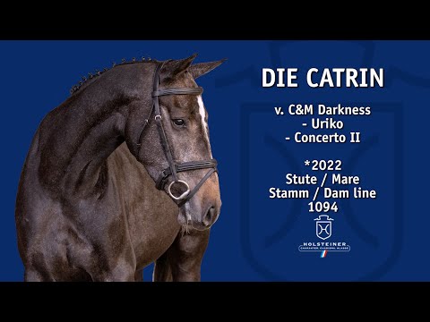 Holsteiner Elite-Reitpferdeauktion 2025 in Elmshorn | Nr. 101 Die Catrin v. C&M Darkness - Uriko
