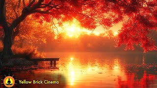 8 Hours, Zen Relaxing Music, Stress Relief Music, Sleep Music, Meditation Music, Calming Music, Lake