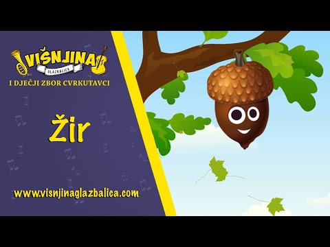 Žir | Dječje pjesme