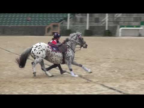 Mounted Games United States