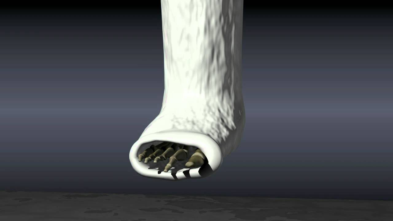 Ernesto Che Jiménez Macedo-9