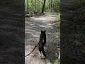 Walk 4 28 25 Camina Encounters Another Hiker I Cox Arboretum Tuxedocat Hiking Spring