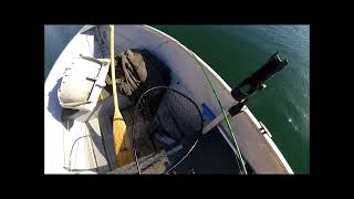 Solo day with boat, Camanche 2/28/24