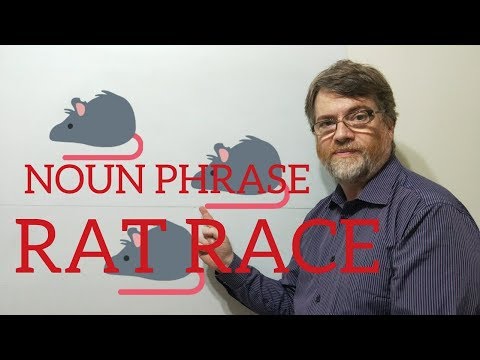 英語導師Nick P名詞短語(115) Rat Race(老鼠賽) (English Tutor Nick P Noun Phrase (115) Rat Race)