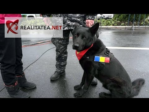 Parada Militara 1 Decembrie 2019. Imagini nedifuzate la TV. VIDEO: Cristian Otopeanu