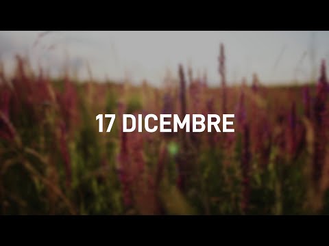 17 Dicembre 2025 | Meditazione Parole di Vita