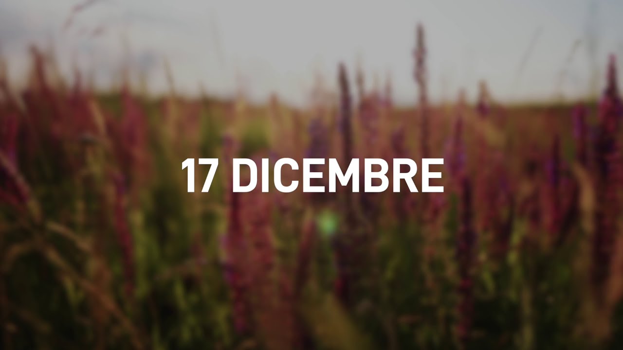 17 Dicembre 2025 | Meditazione Parole di Vita