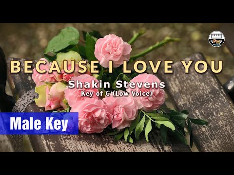 Because I Love You | Karaoke | Key of C (Low Voice)