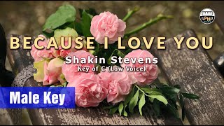 Because I Love You | Karaoke | Key of C (Low Voice)