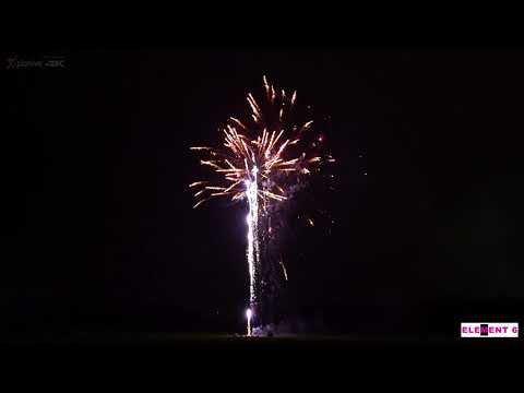 SCB939 - 100s 30mm Silver Tail to Red Strobe Willow (4k video)