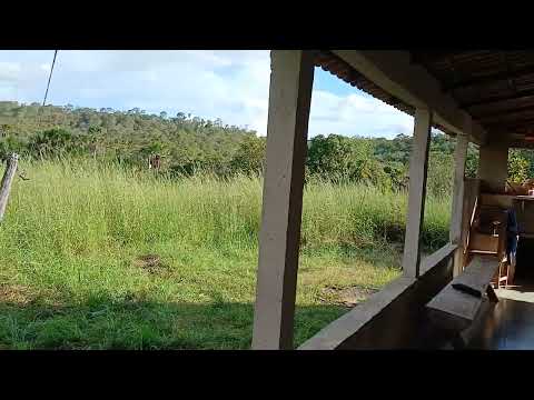 Nossa Casa. Fazenda Ipê Branco Pindorama do Tocantins.