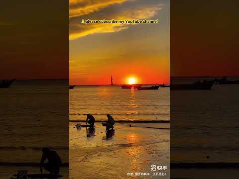 Golden Sunset Reflections: A Tranquil Evening on the Beach#viral#travel#shorts