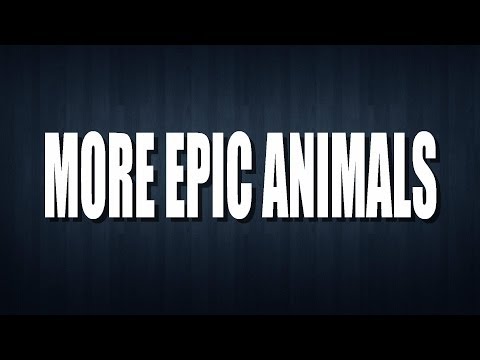 Martin Garrix vs Sandro Silva vs Leidback luke - More Epic Animals (Dj Jonhy remix)