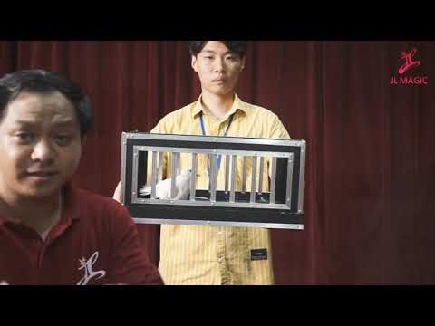 Dove Catch by JL Magic