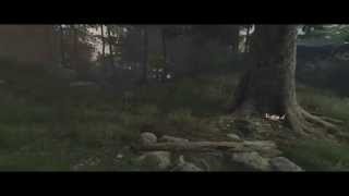 The Vanishing of Ethan Carter for Mac