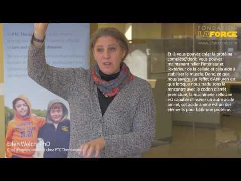 Portait de la DMD - Ataluren un traitement prometteur pour la DMD