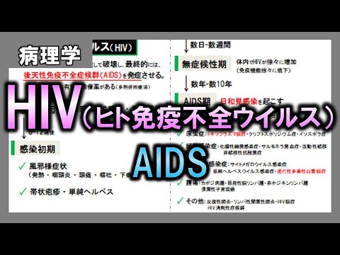 HIV-ヒューマン免疫ウイルス