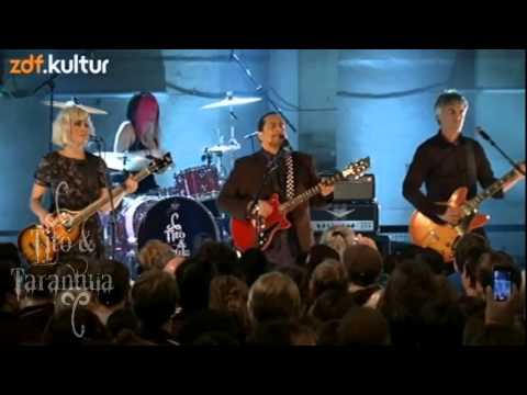 Tito & Tarantula - Animal @ BERLIN / Trafo