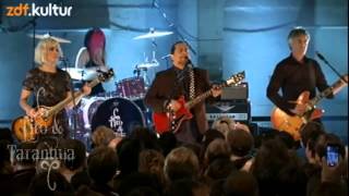 Tito &amp; Tarantula - Animal @ BERLIN / Trafo