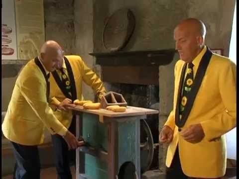 I Girasoli - La vita è bella (Video ufficiale)