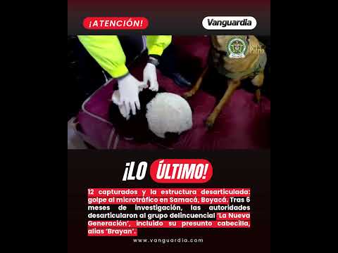 Golpe al microtráfico en Samacá, Boyacá | Vanguardia