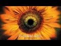 LACUNA COIL Unspoken