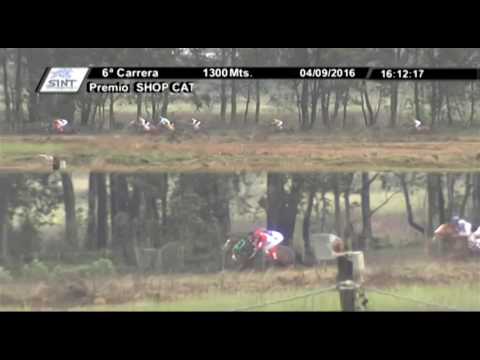 04/09/2016 – Hipodromo Melo – Carr 6 – SHOP CAT