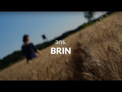 Hitri intervju: ans. BRIN - 51. FESTIVAL NARODNO-ZABAVNE GLASBE ŠTEVERJAN 2023