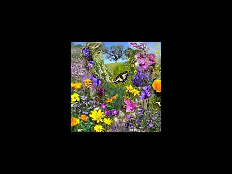 Spring the sweet spring by Thomas Nashe