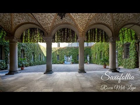 Saxofollia Saxophone Quartet - Live Italian Concert