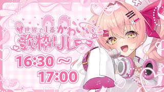 【#世界で1番かわいい歌枠リレー】かわいいって言え【#vtuber  #みなとん #karaoke 】