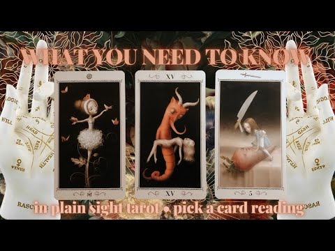 PICK A CARD: WHAT YOU NEED TO KNOW THE MOST RIGHT NOW?