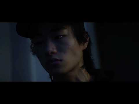 비디오 14