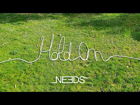 NEEDS - Hold On