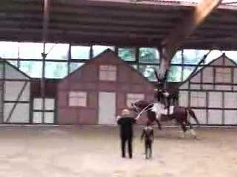 CVI** Krumke 2008 - The Dark Side of the Moon