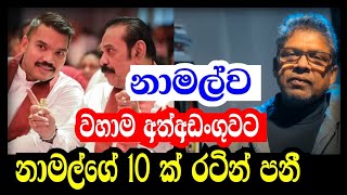 Download lagu නාමල්ගේ 10 ක් රටින් පනී / නාමල් අත්අඩංගුවට ? /Anura Chandrasiri #jvp #lanka #anura #mahinda #ranil  mp3