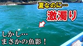 梅雨明け直後の激濁りの海に潜ってみたら…まさかの魚影と巨大な影！