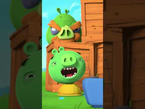 Watch your back Piggies 👀