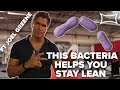 How to Stay Lean Using THIS Bacteria