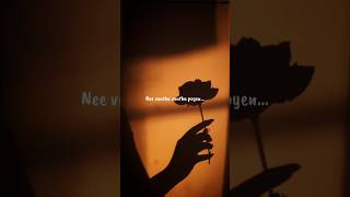 Download lagu 👀Trending song👀............ #shortsfeed innum konja neram song WhatsApp status mariyan movie tamil❤️ mp3
