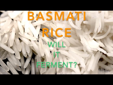 Basmati rice: WILL IT FERMENT?  homebrew rice wine