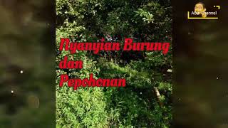 Download lagu Nyanyian burung dan pepohonan mp3